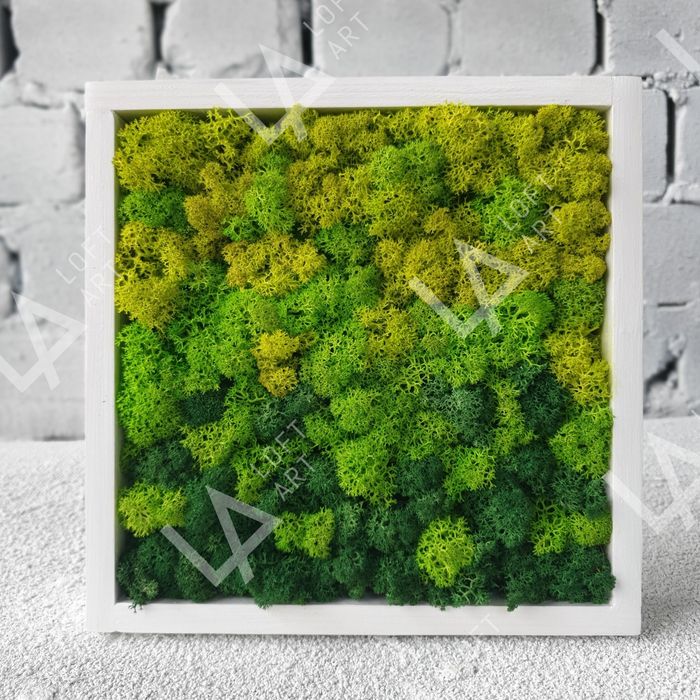 Картина из мха, Фитокартина, Панно со мхом, Настенный декор