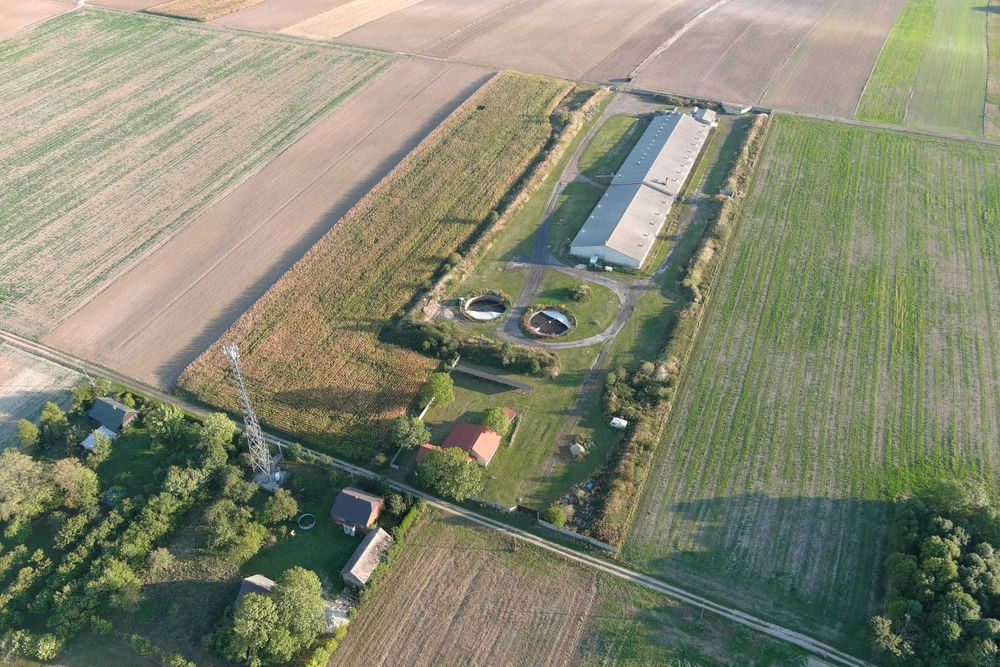 ferma loch- chlewnia