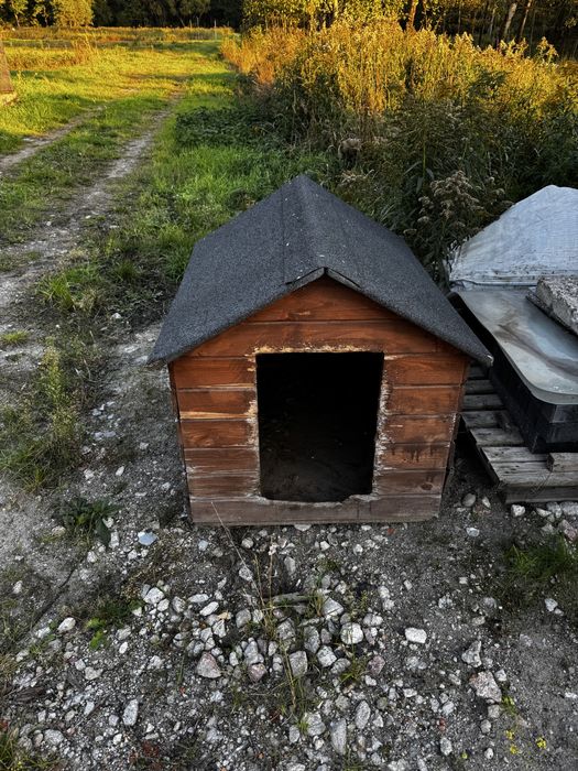 Buda dla psa za darmo