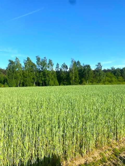 Urokliwa działka budowlana przy lesie -  blisko Łodzi