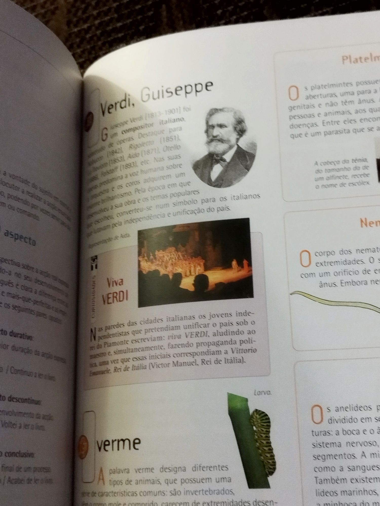 Enciclopédia básica do estudante/ Everest editora-com CDs