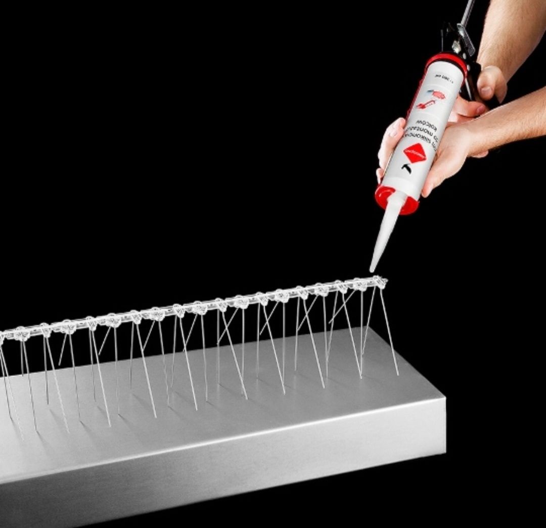 Kolce na ptaki gołębie odstraszające nierdzewne 50CM 20 kolców