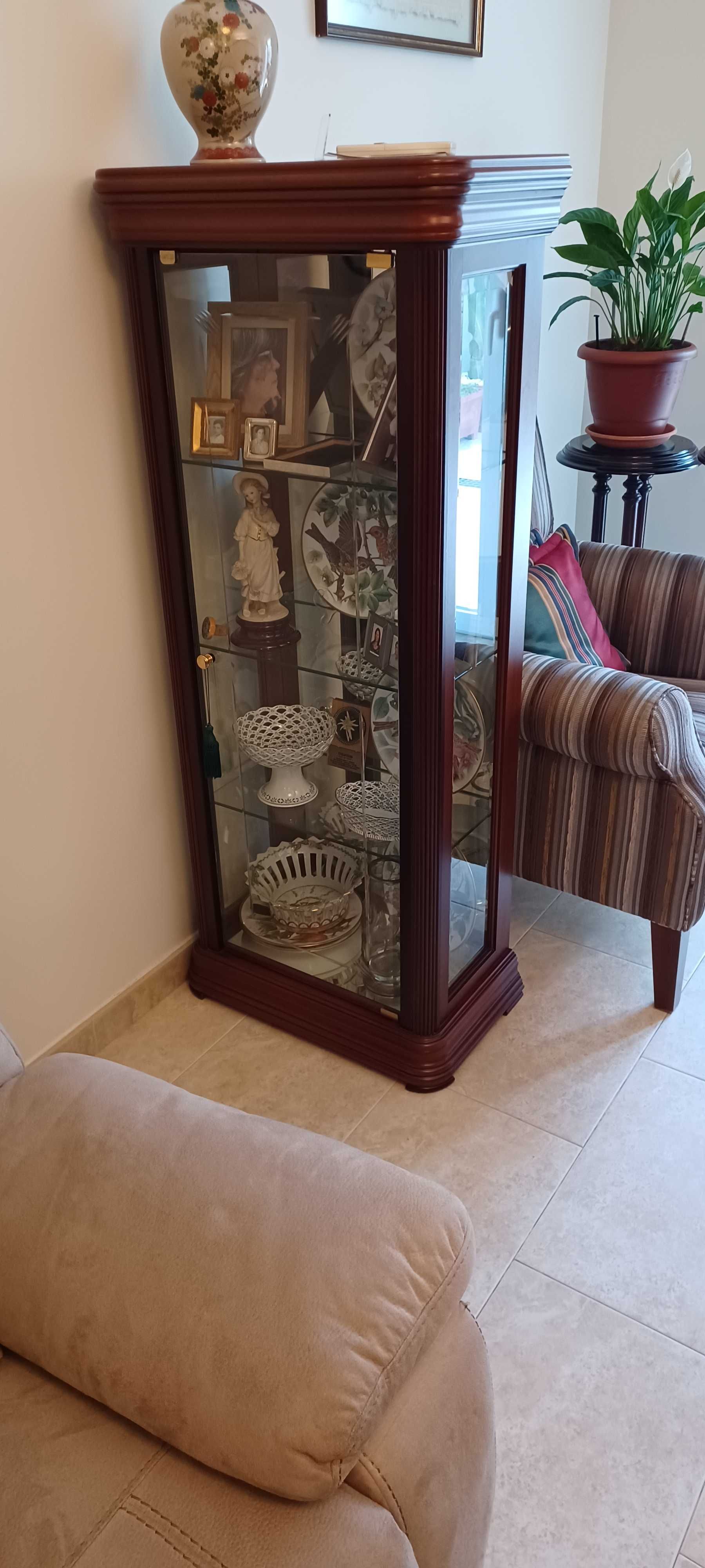 Vitrine electrificada