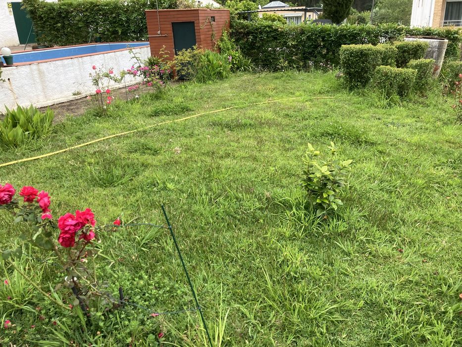 Jardinagem e Limpeza de Terrenos