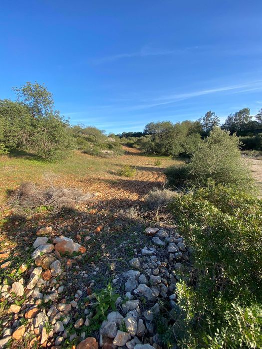 Terreno Vista Mar - Boliqueime