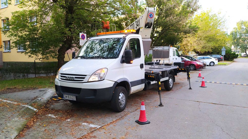 Wycinka pielęgnacja drzew ściąganie jemioły usuwanie posuszu podnośnik