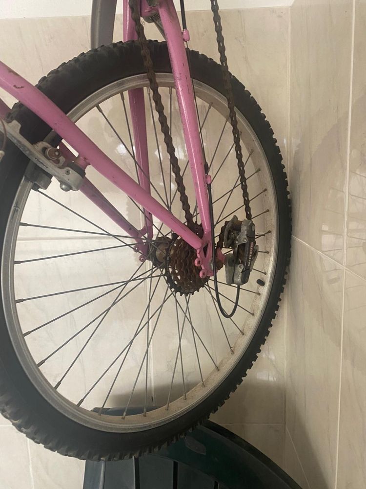 Bicicleta - Bicicletas Coelho