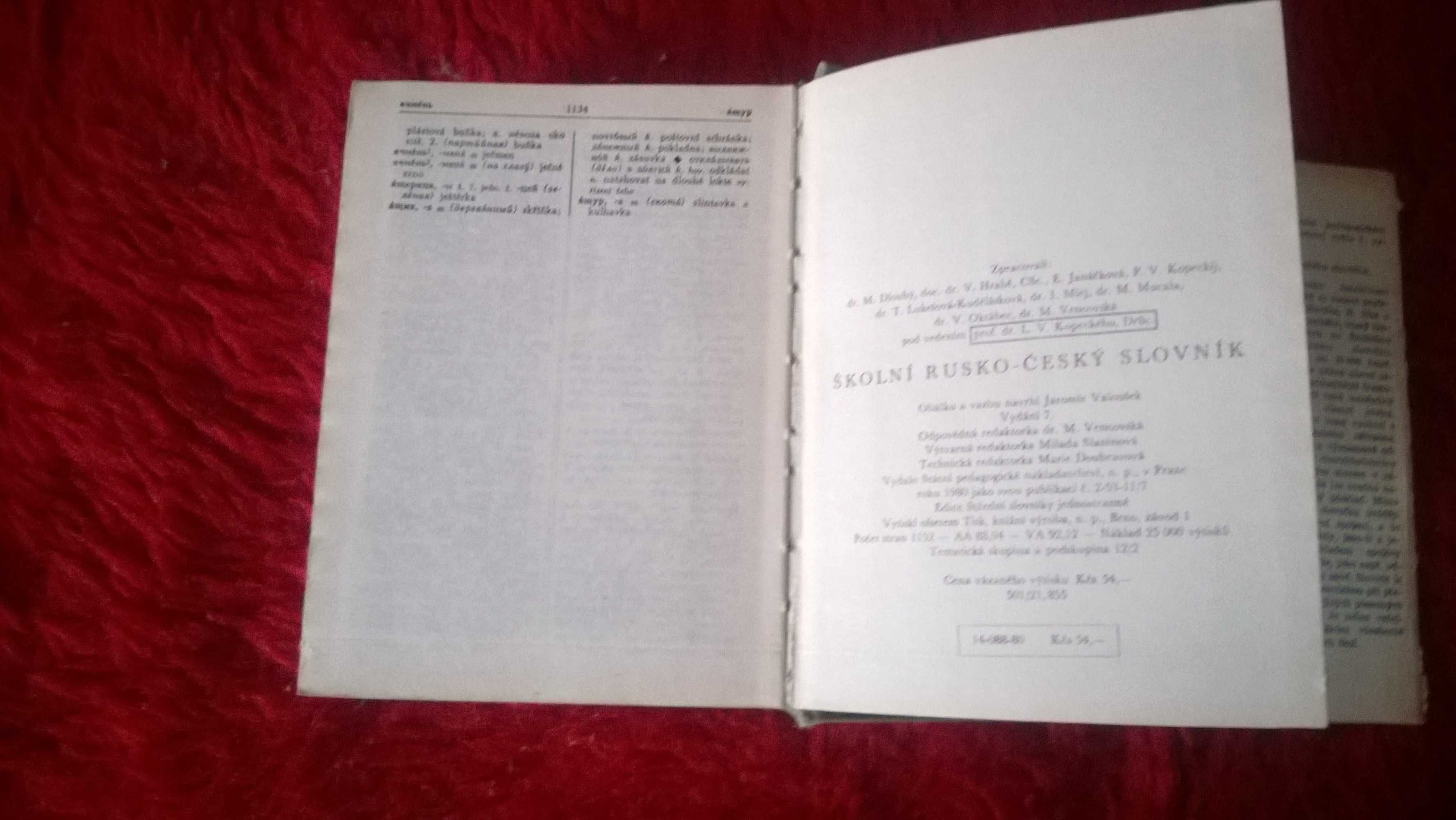 Словарь Русско-чешский и Чешкорусский Прага 1980