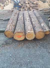 Kłoda drewno sosna 250cm