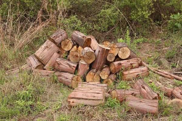 Купити дрова твердих порід у Миколаєві – дуб, ясень, акація