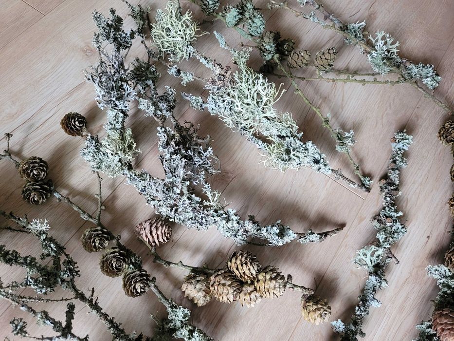 gałązki z mchem i szyszki, mech z szyszkami artykuły plastyczne