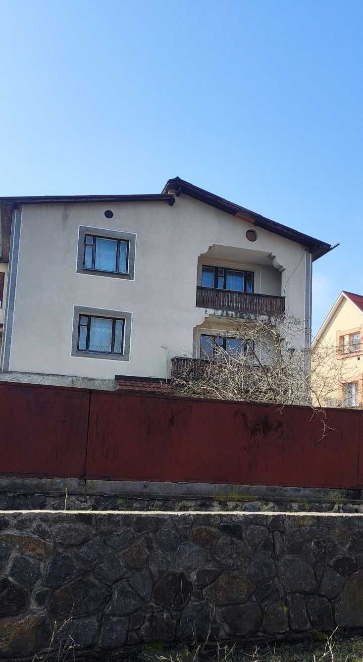 (3) Продам будинок в Луці-Мелешківській 0925