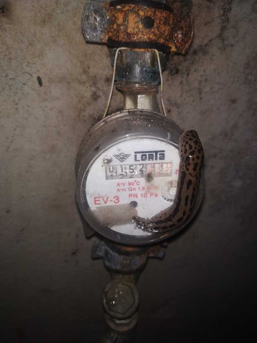 Будинок в місті Сокаль