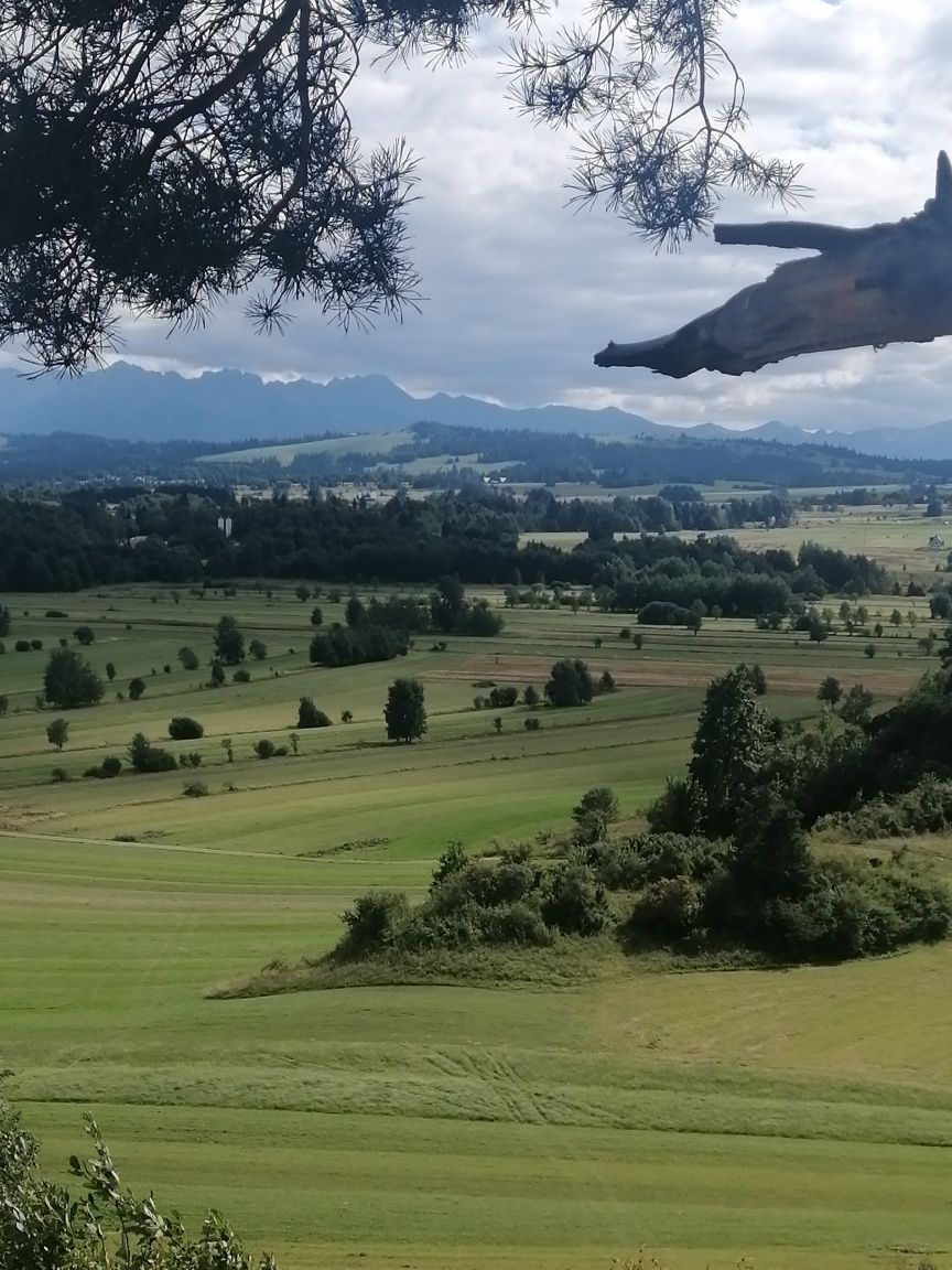 Pokoje gościnne u Maksa z pięknym widokiem na góry.