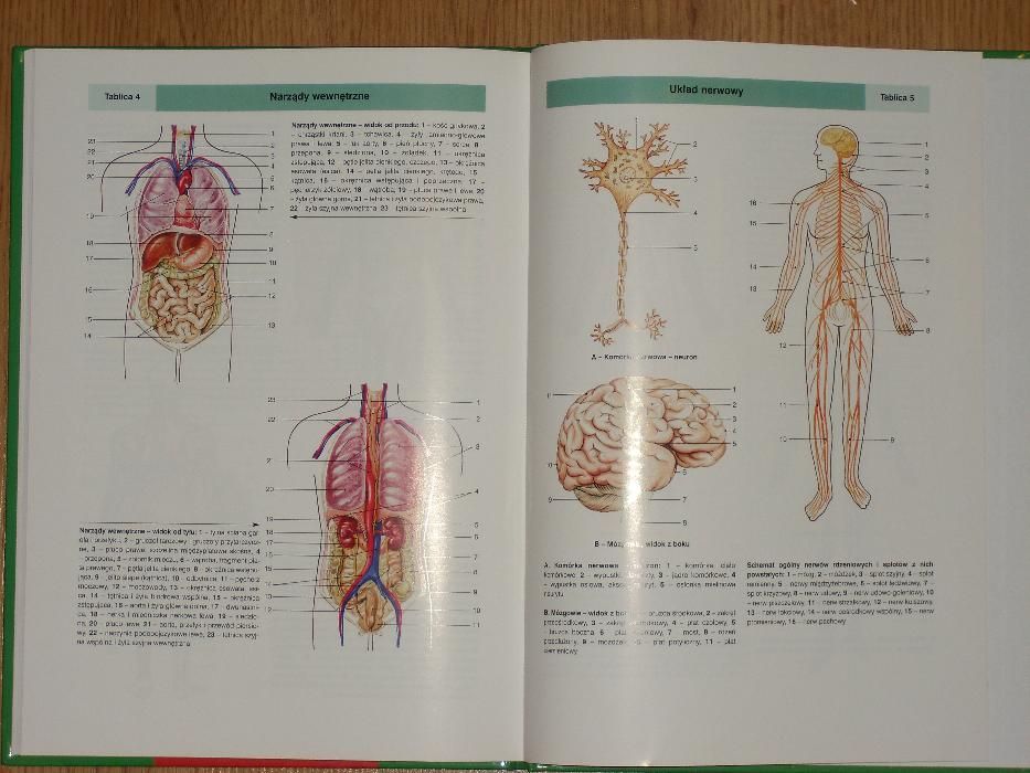 Encyklopedia Zdrowia Rodziny