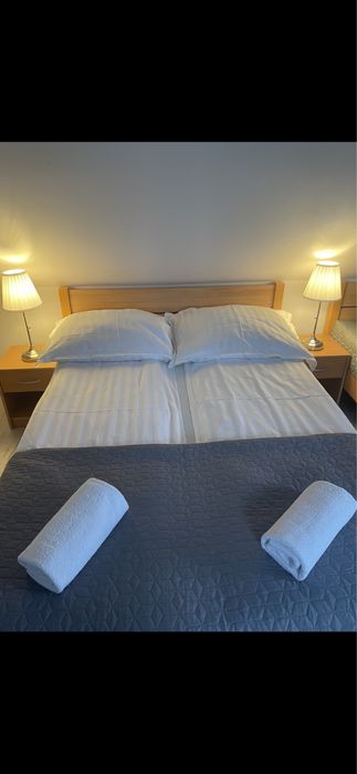 Pokoje + przewodnik po Puszczy Białowieskiej