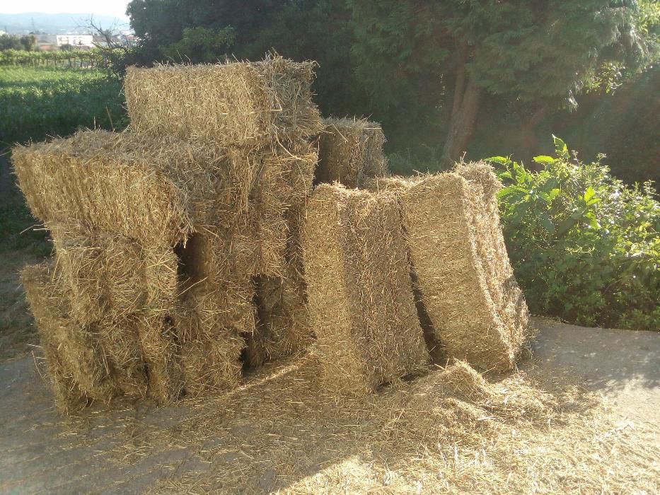 Palha de azevém tradicional