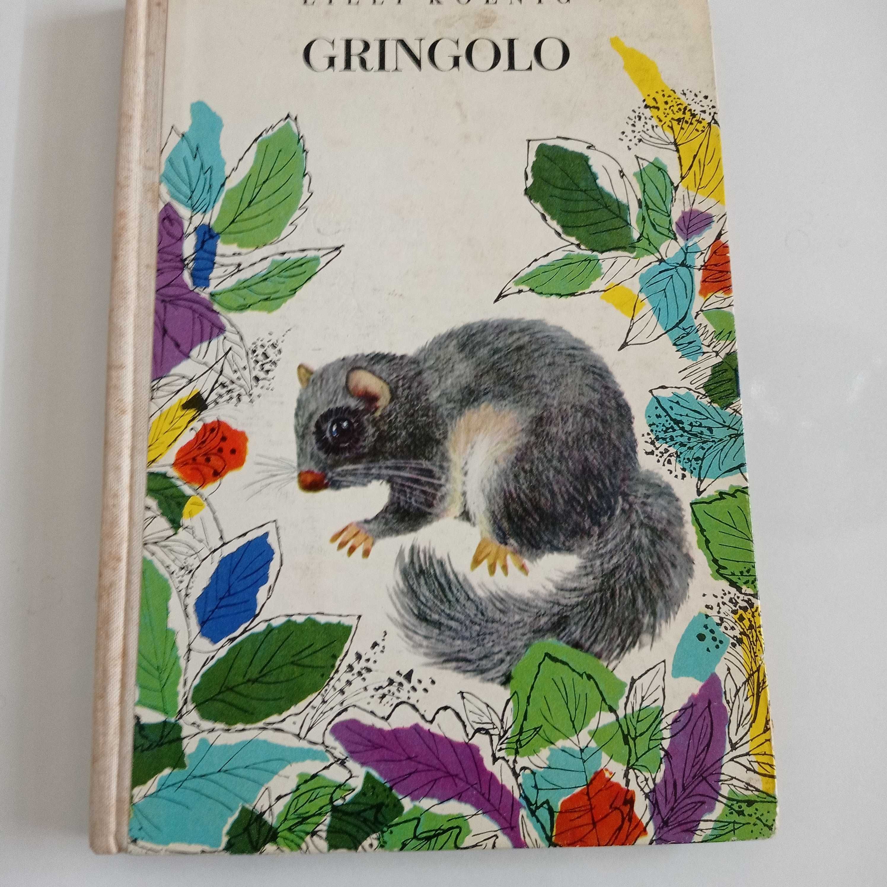 Gringolo. Historia o popielicy Lilli Koenig 1966r wyd I