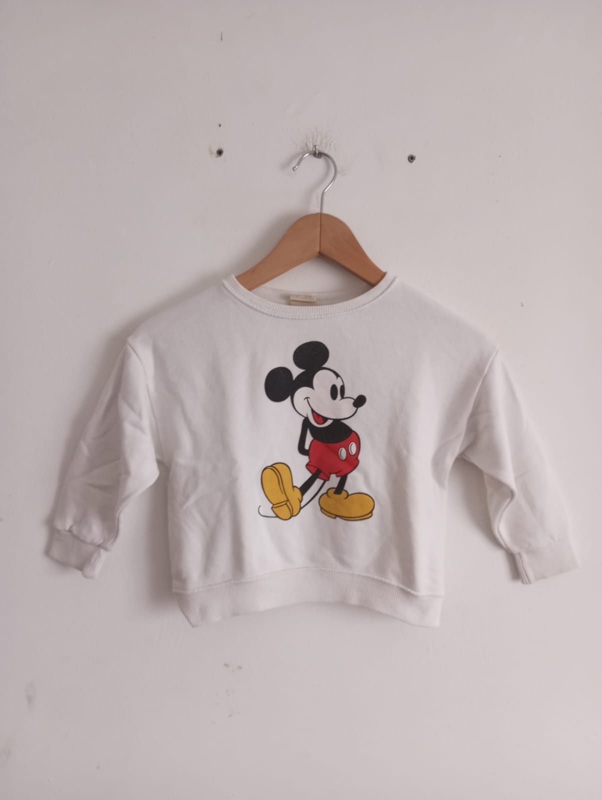 Camisola Zara Tamanho 4 Anos