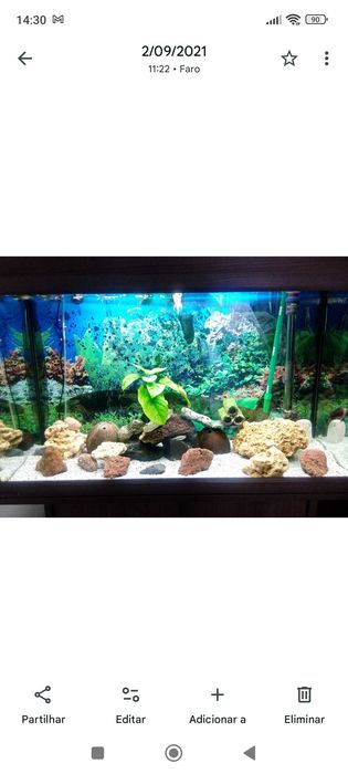 Aquário com móvel 126lt