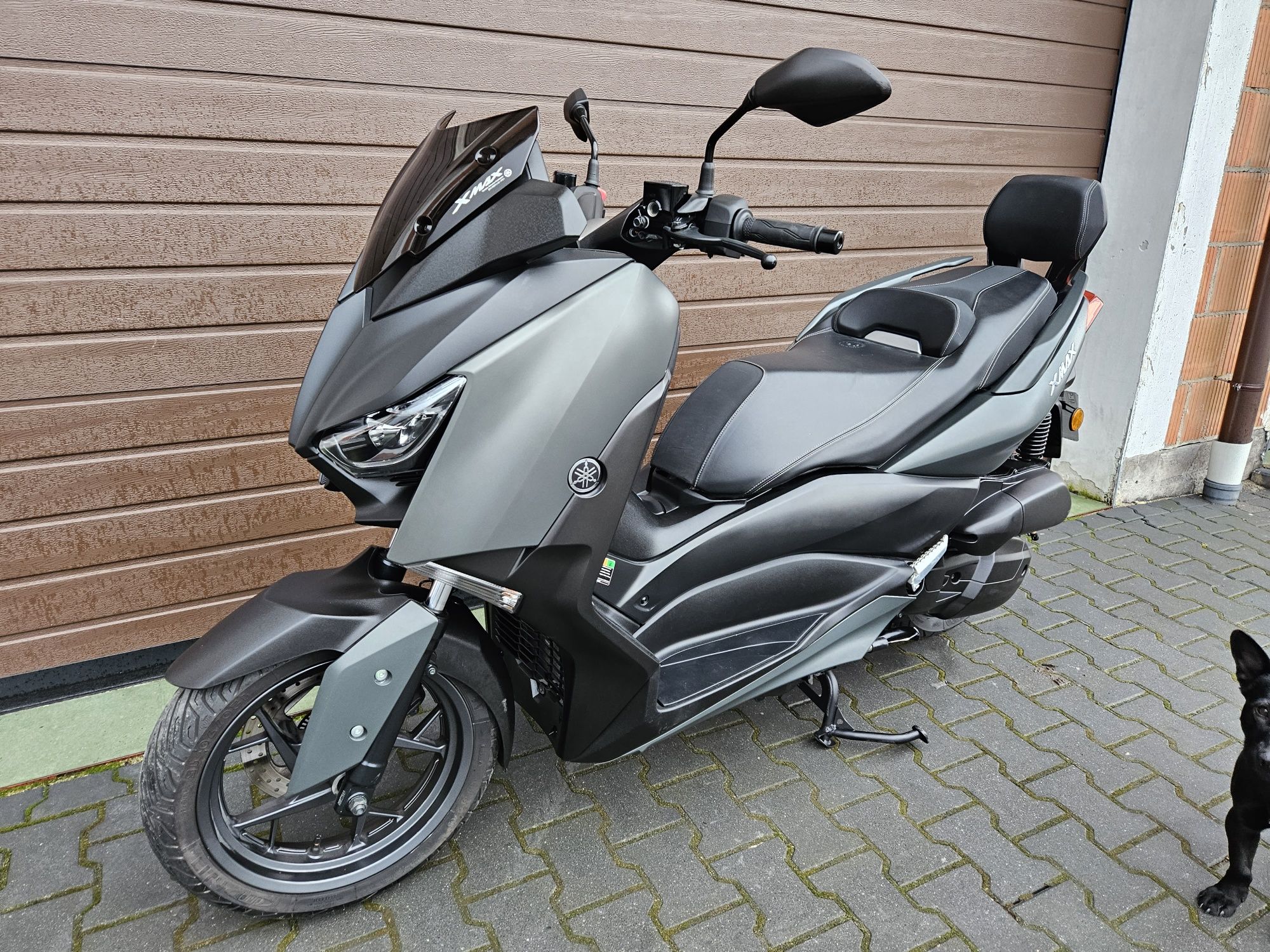 Yamaha X-Max 125 / 2020 / Akrapovic