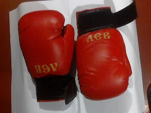 Перчатки боксёрские «Лев»