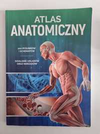 Atlas anatomiczny Mazurek