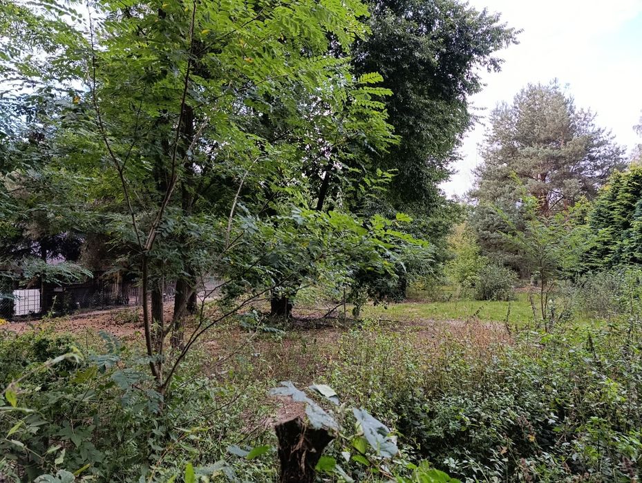 Działka budowlana Izbiska gm.Teresin 2831m