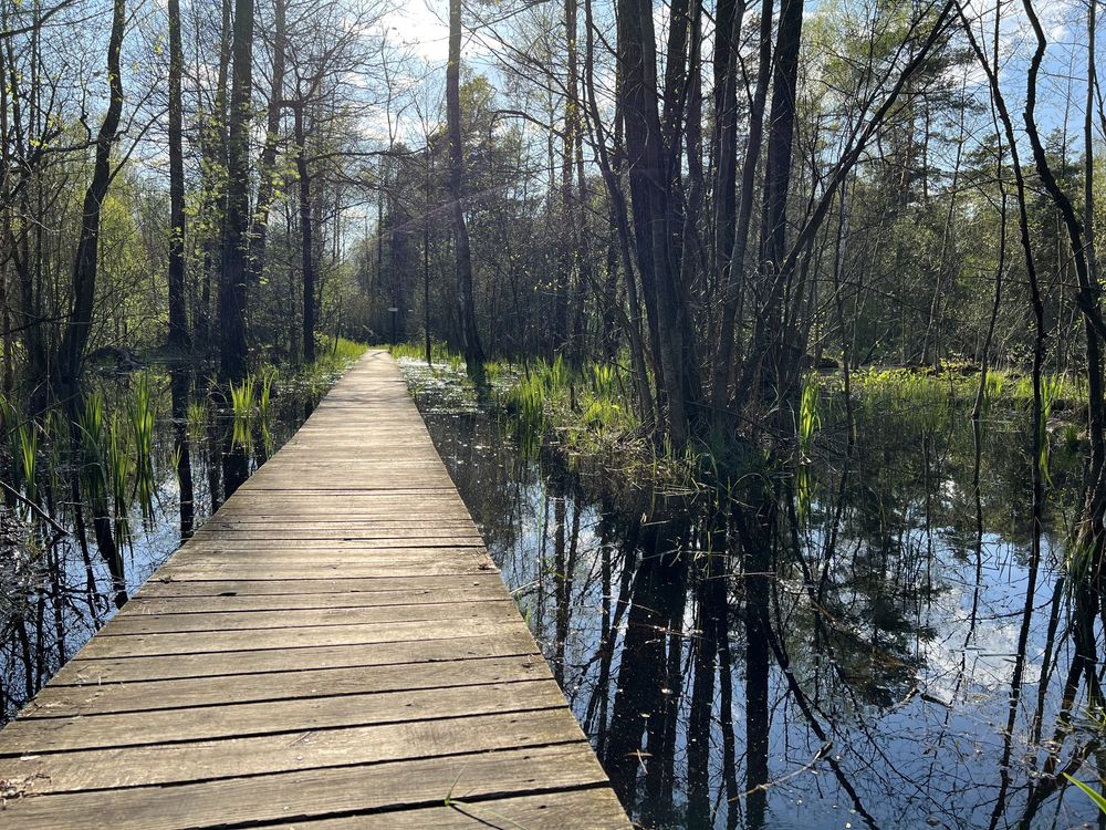 Domki Poleski Park, jezioro Zagłębocze