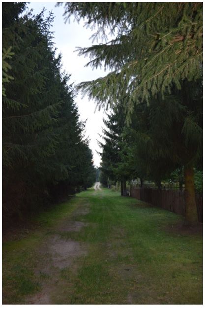 Działka w Puszczy Knyszyńskiej, Zapiecek, Wasilków – 3305 m²