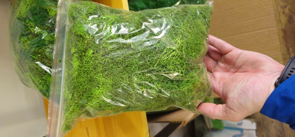 Мікс стабілізованого моху