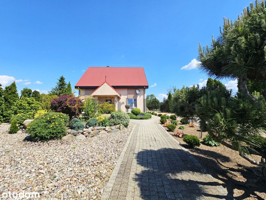 Świetna oferta - 2 domy i staw ! Błażejewo /Dolsk