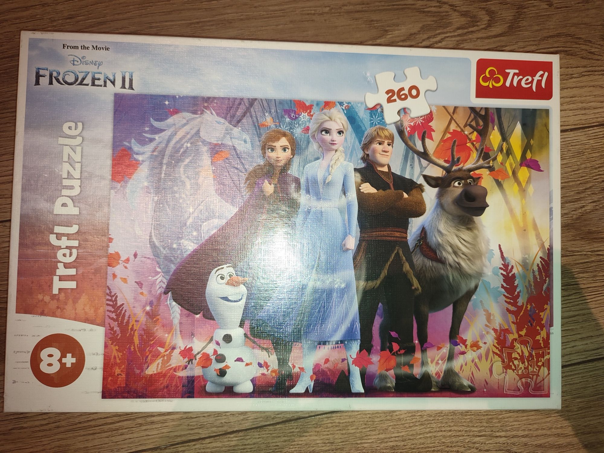 Puzzle Anna i Elsa 260 elementów Tefl