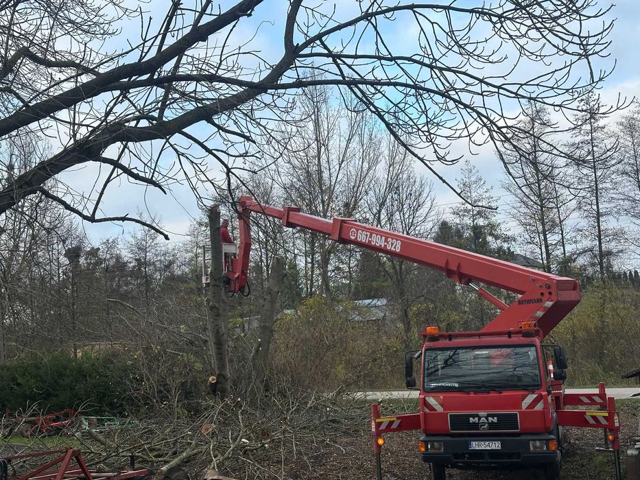wycinki drzew ,podnośniki koszowe,wynajm itp..