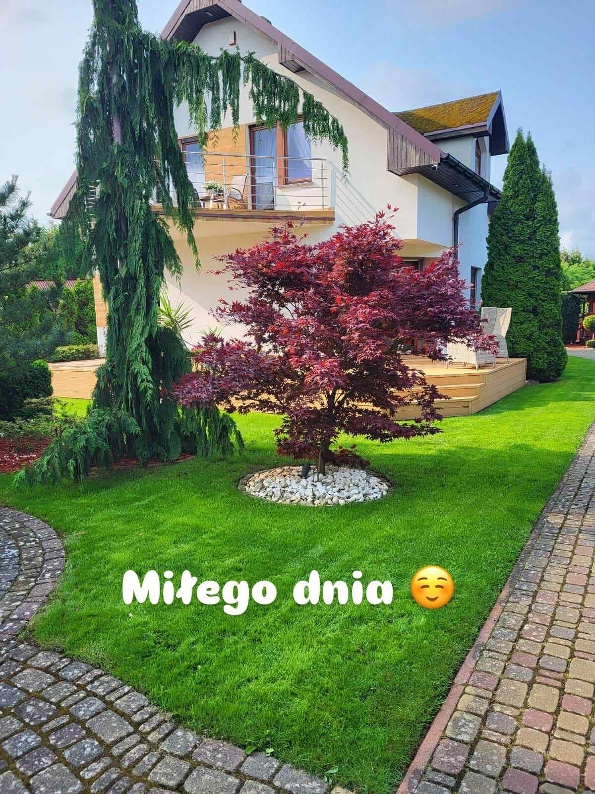 Kwatery, apartamenty, domki nad morzem