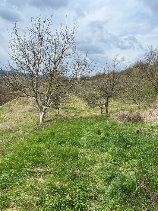 Продаж БУДИНКУ + 23 сотих землі 15км від м. Чернівці