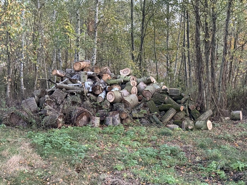 Drewno kominkowe, opałowe, mieszanka