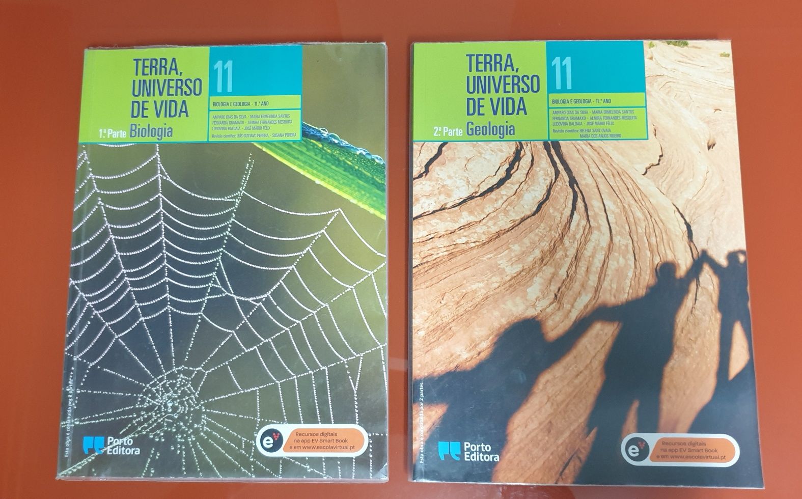 Livros Escolares 11°ano