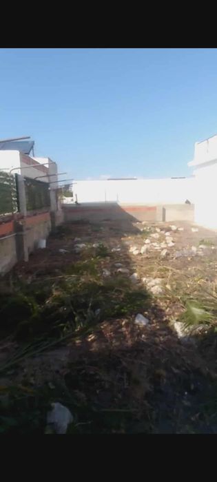 Limpeza de terrenos