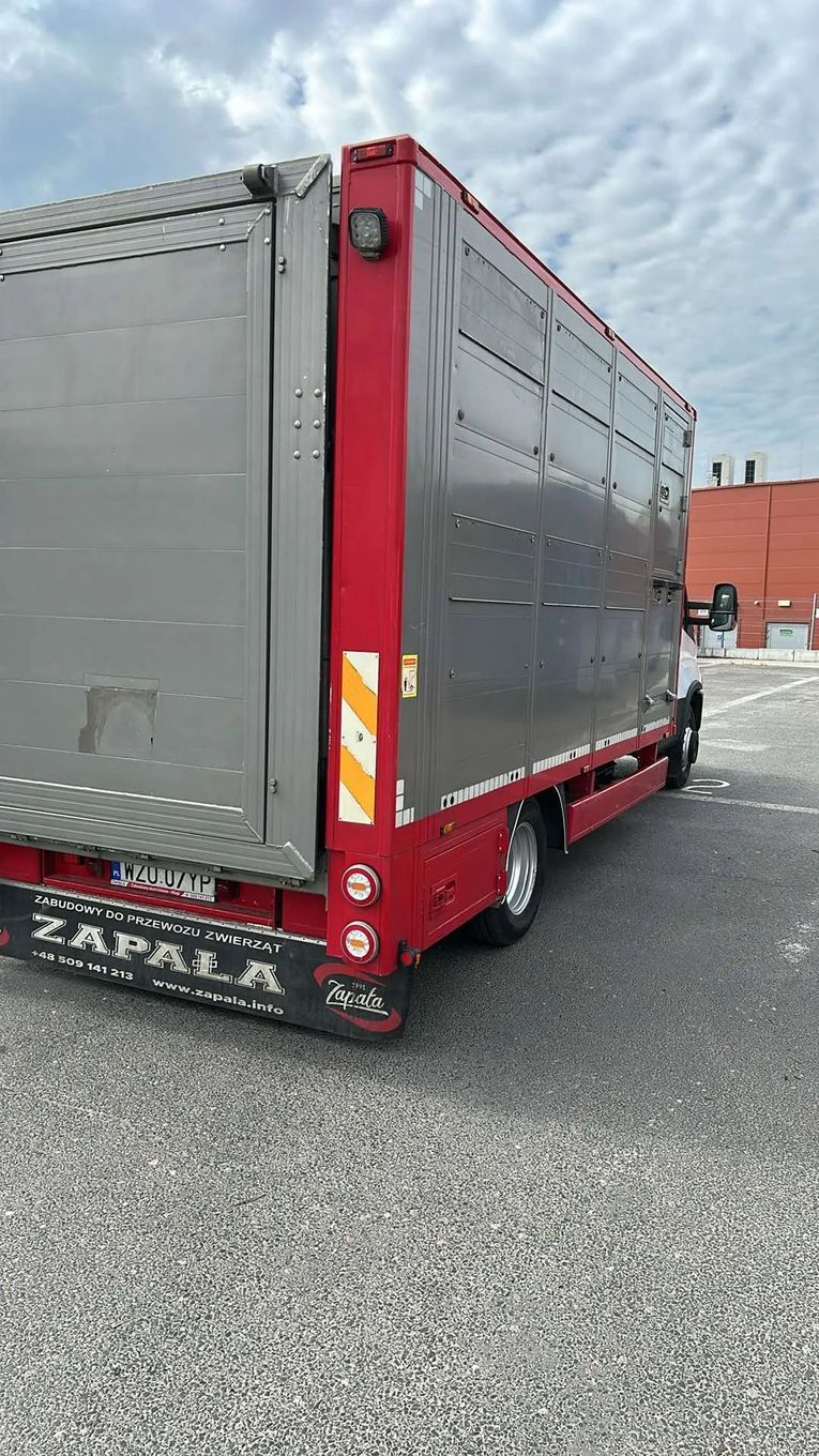 Iveco Daily 72C18  Iveco Daily 72C18 Salon Polska do przewozu zwierząt zabudowa Plavac