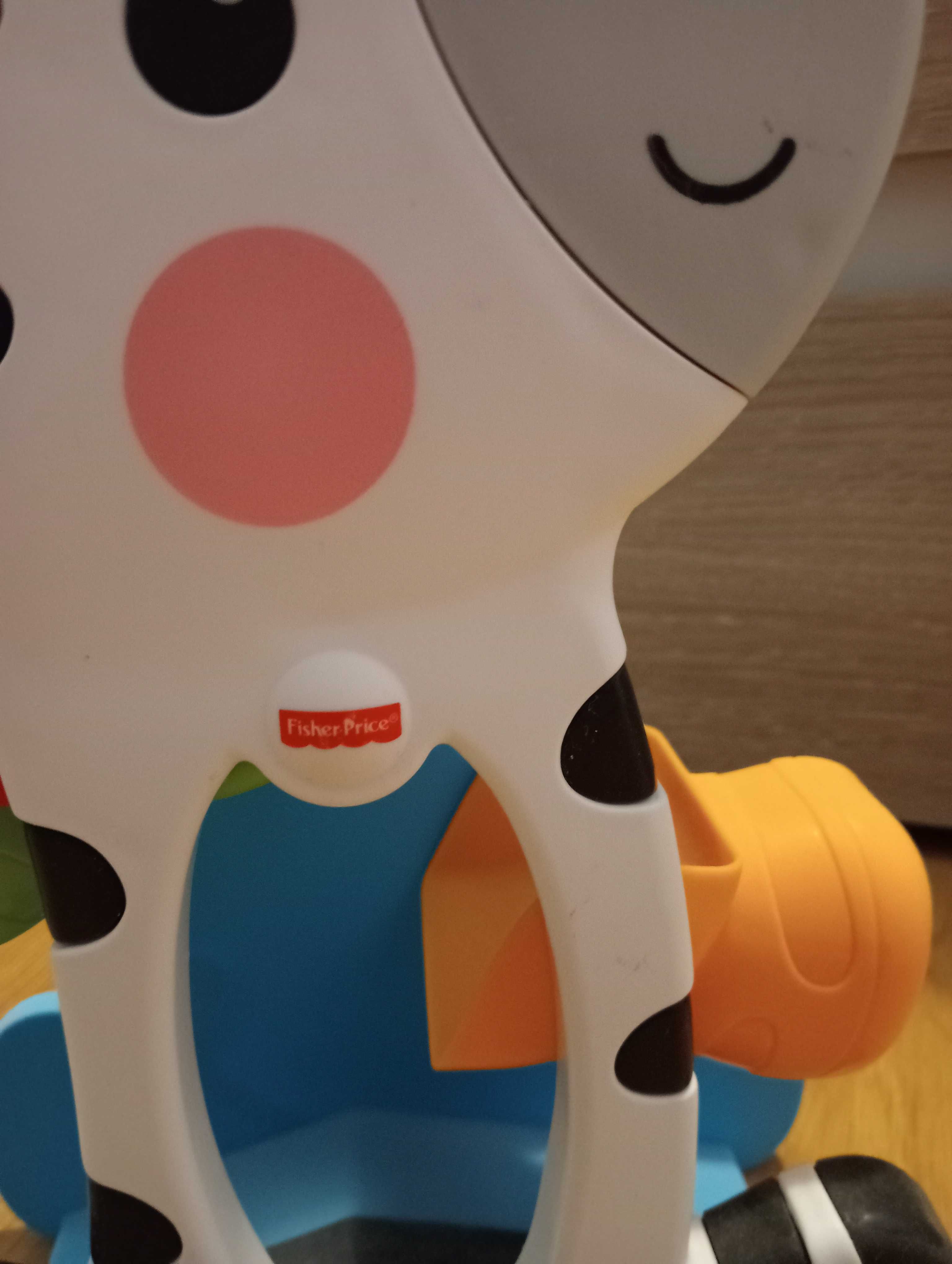 Zebra Fisher-Price roller blocks