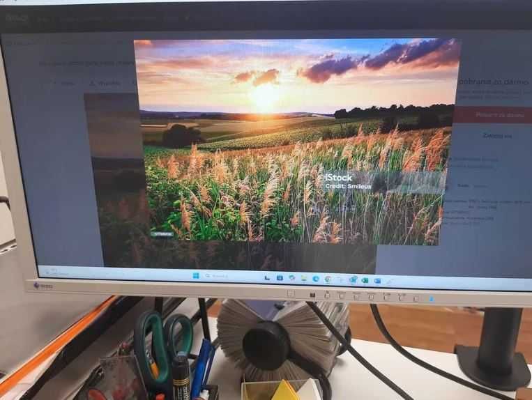 Monitor EIZO FlexScan EV2316W
