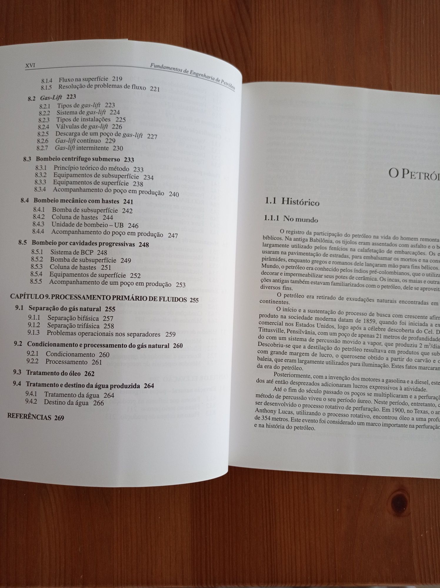 Fundamentos de engenharia de petróleo - José Eduardo Thomas