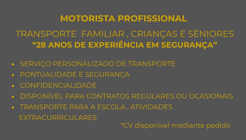 Motorista profissional