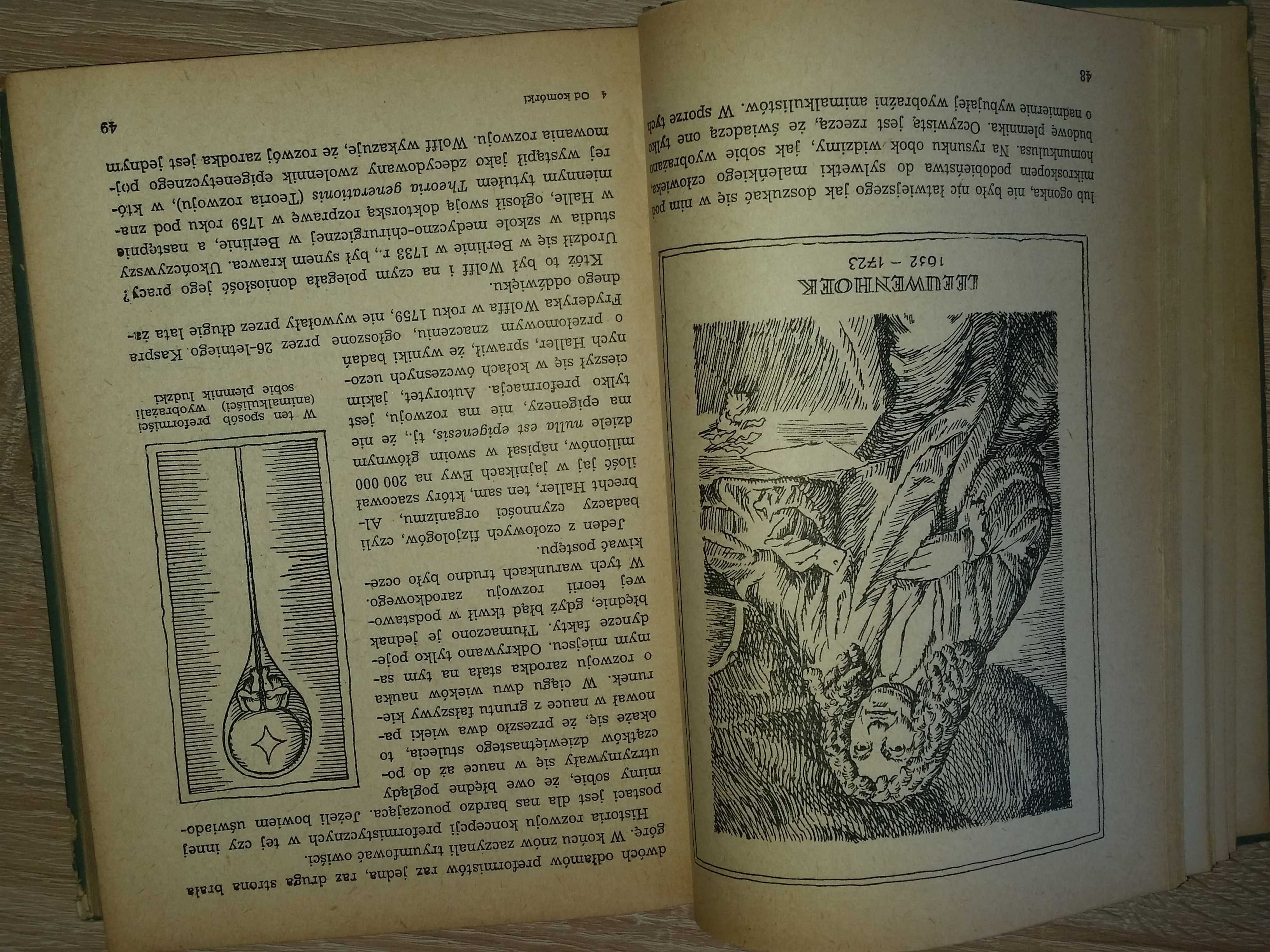 Od komórki do niemowlęcia unikat 1955 biologia