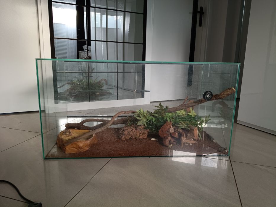 Terrarium dla węża