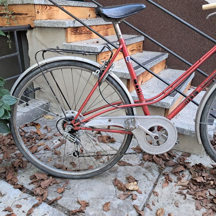 Turmberg damka z koszykiem