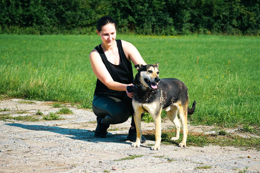 MIMEK - świetny psiak szuka domu