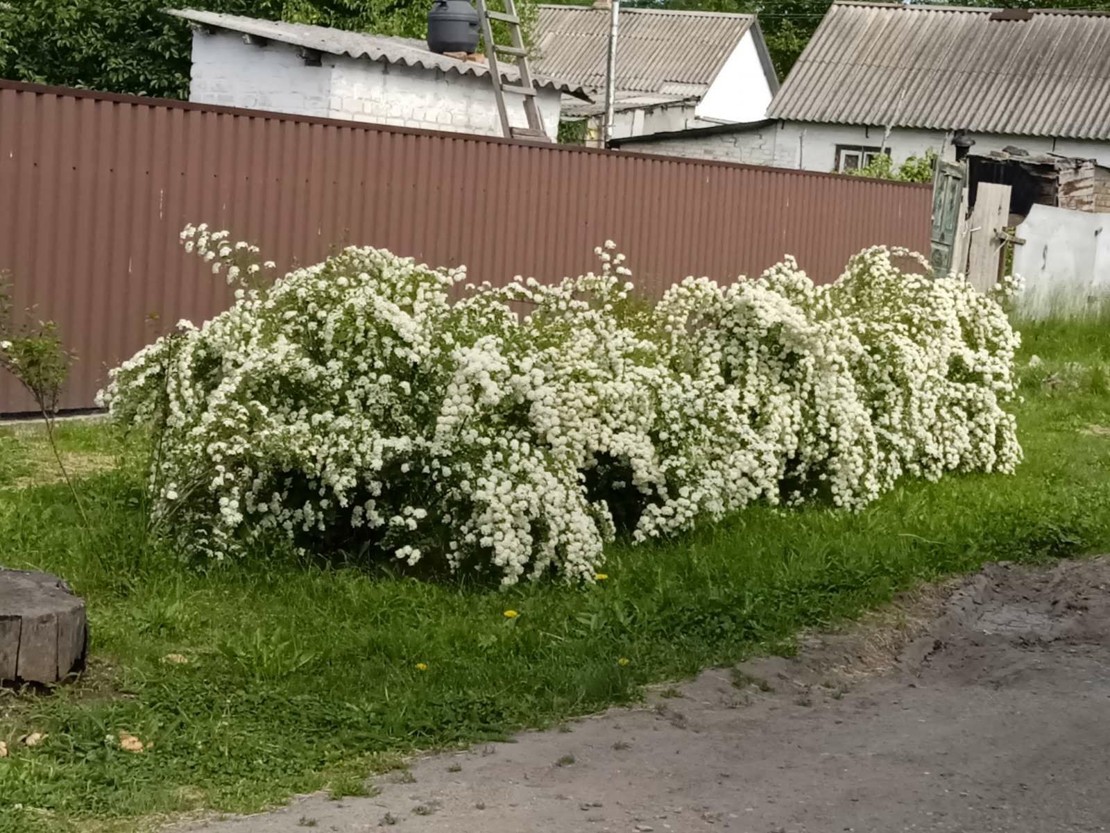 Продам уютный семейный дом в Синельниково