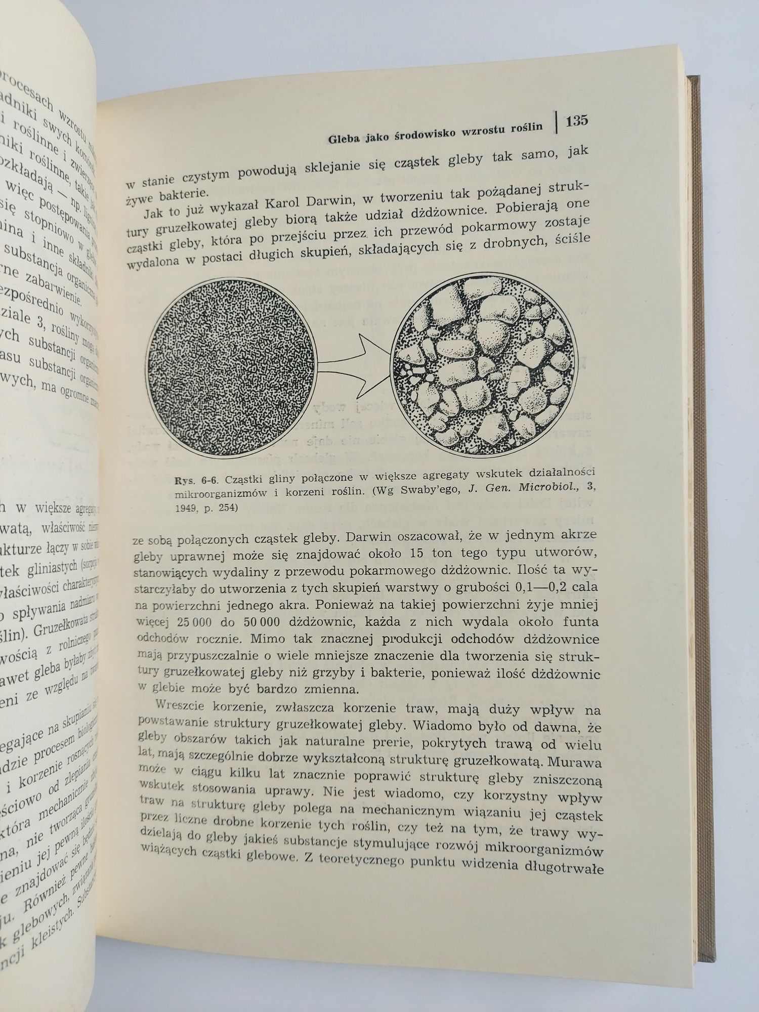 Podstawy fizjologii roślin - J. Bonner, A. Galston